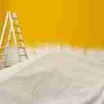 8 Best Drop Cloths for Paint Protection in 2026: Top Canvas & Plastic Options